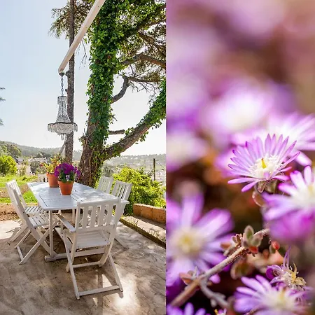 Holiday home The Shelter