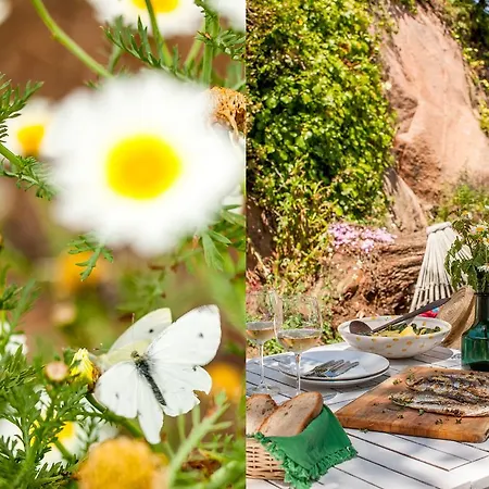 The Shelter Holiday home