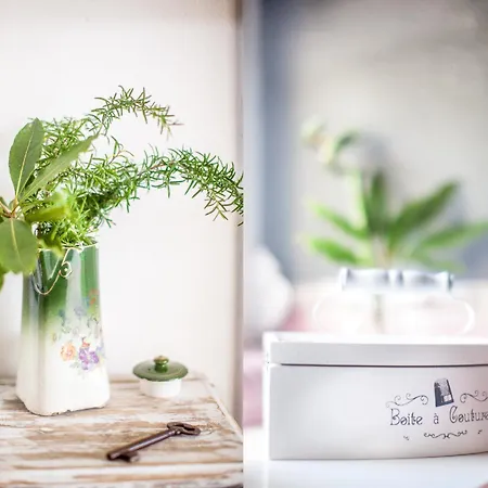 The Shelter * Malveira da Serra