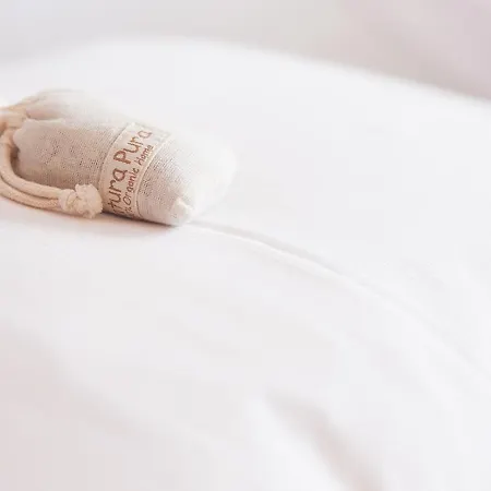 The Shelter * Malveira da Serra