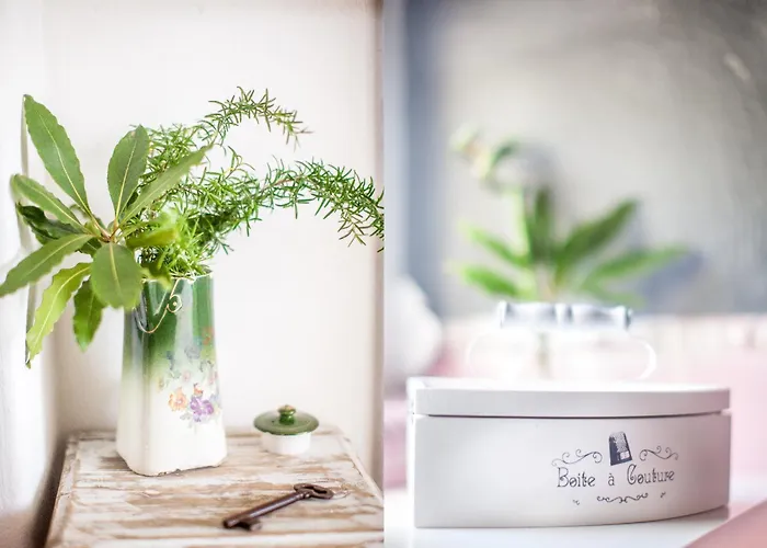 施尔特旅馆 * 马尔维拉达瑟拉