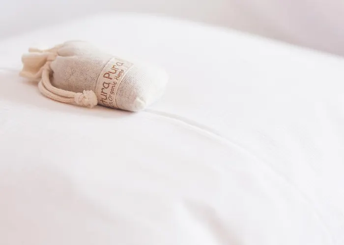 施尔特旅馆 * 马尔维拉达瑟拉